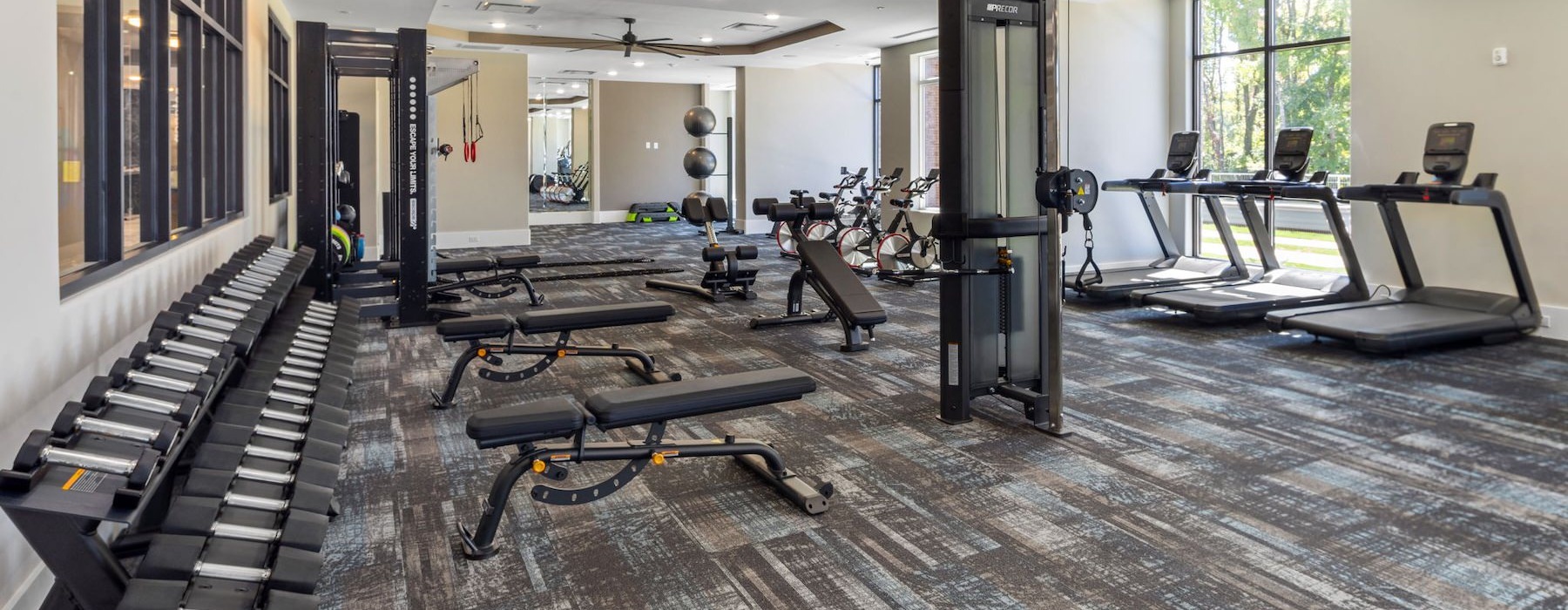 Get your workout on a gym with exercise equipment
