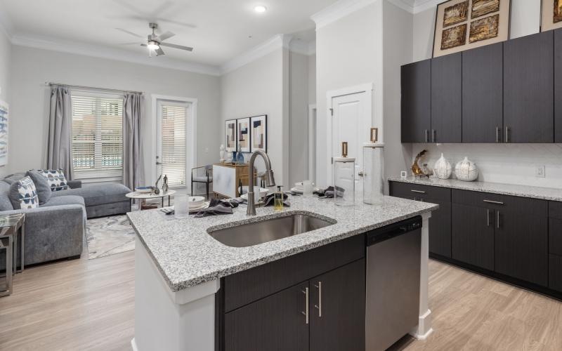 Beautiful kitchens with designer finishes a kitchen with a sink and a couch